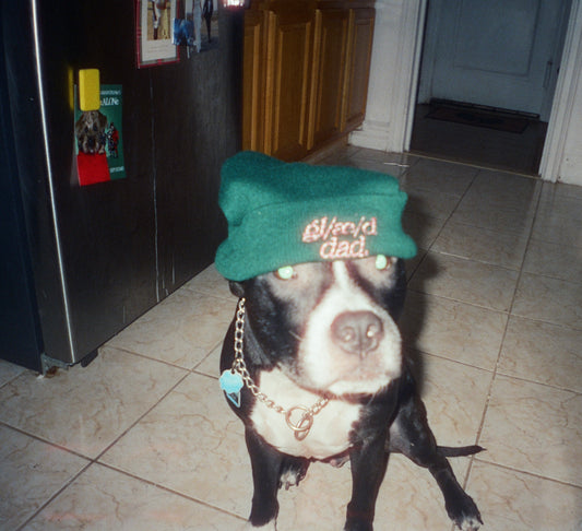 cuffed beanie. (holiday edition)